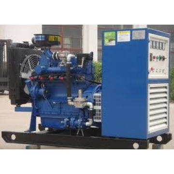 275 кВА Открытый генератор биогаза типа